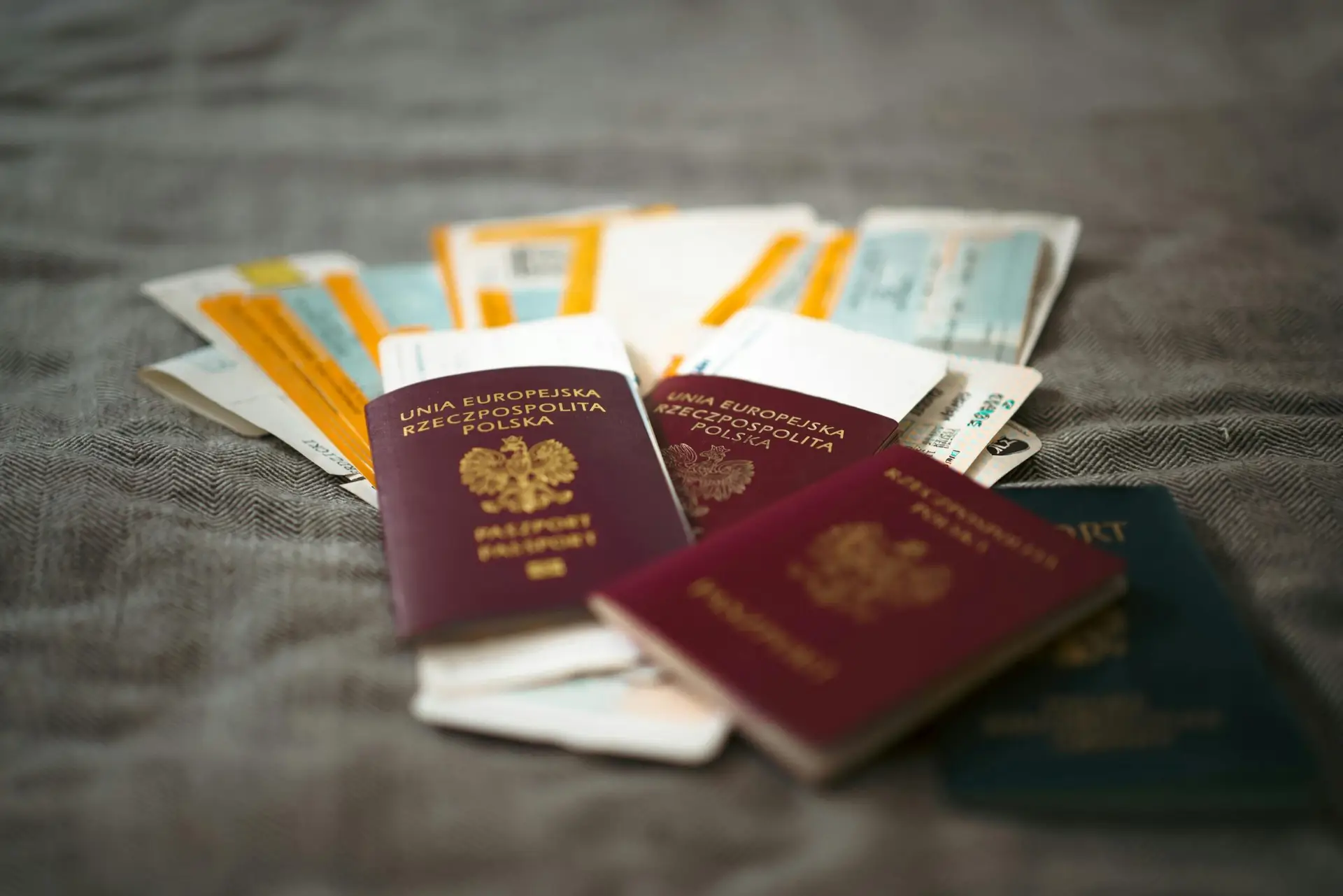 Navigating Corporate Visa Delays & Appeals in South Africa (2026)